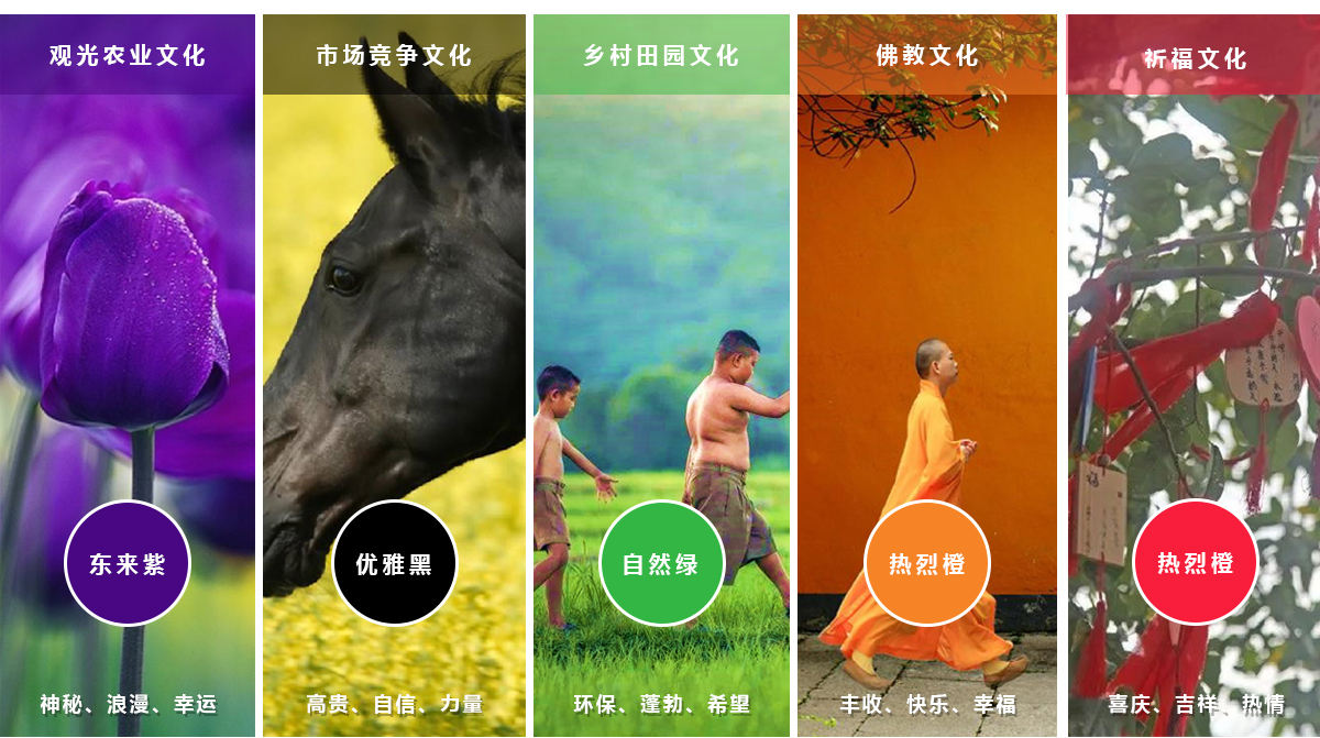 5b5fd578d5.jpg 切片_11.jpg